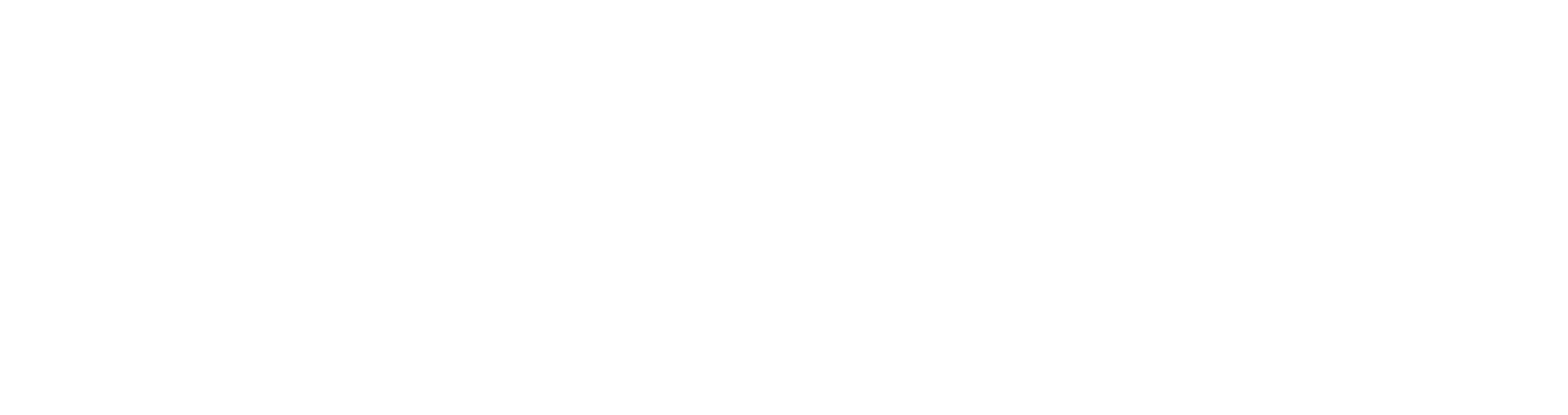 logo-platinum-technologies-blanc